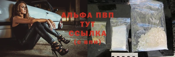 эйфоретик Инта