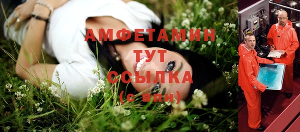 винт Каменка