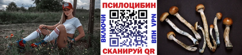 Псилоцибиновые грибы GOLDEN TEACHER  Купить закладки  Десногорск 