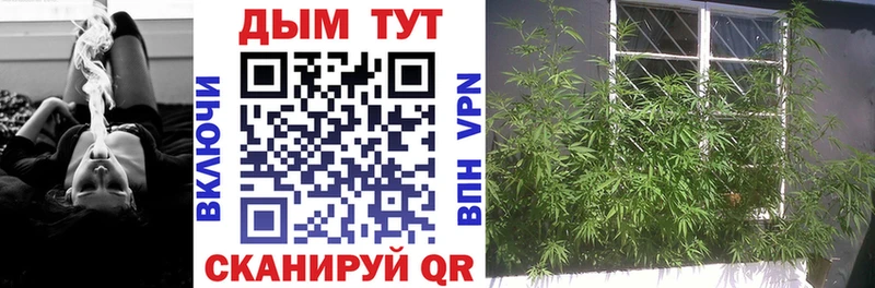 Купить  Десногорск  Бошки марихуана THC 21% 